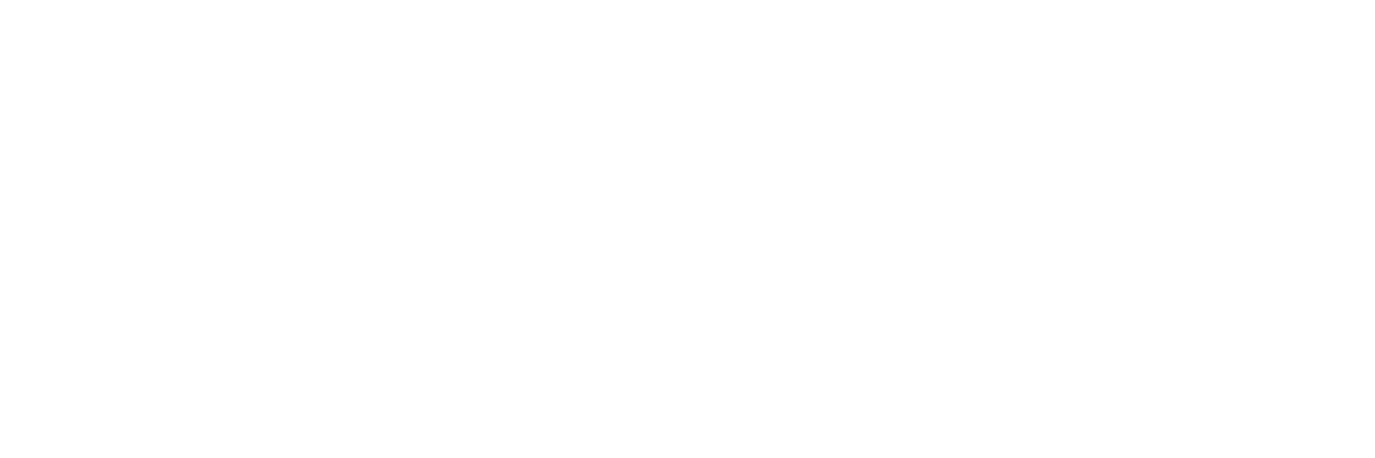VMSV